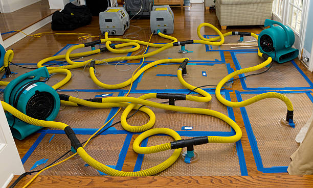 Professional Storm Water Damage Restoration technician working in Colliers, WV